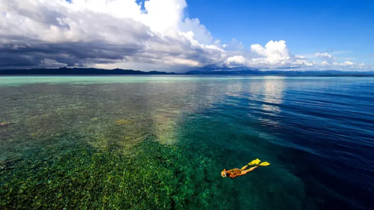 Raja Ampat Adventure - 5D4N